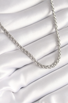 Stillove 316L Çelik Gümüş Renk Burgu Zincir Model Kadin Kolye