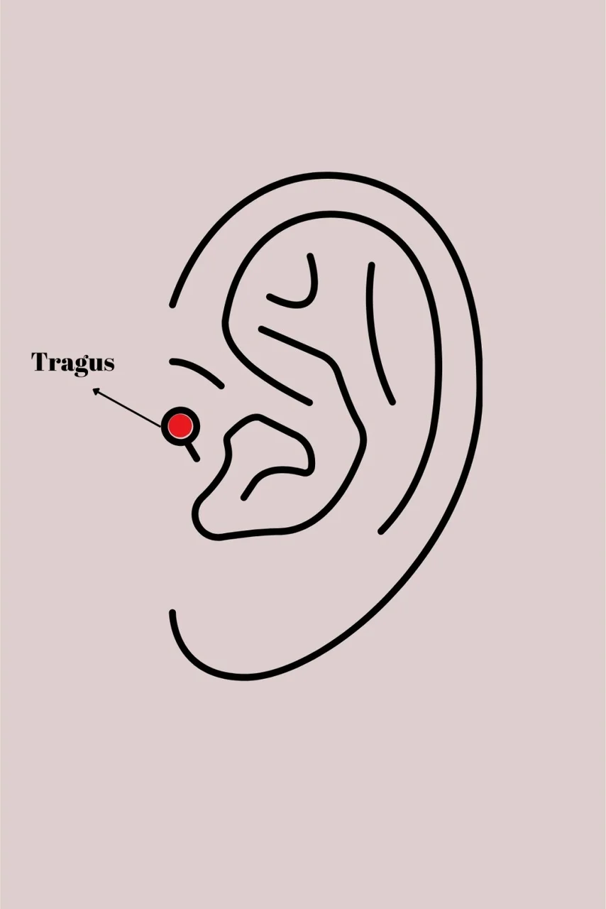 316l Çelik Gümüş Renk Zirkon Taş Detay Kanat Model Tragus Piercing Diğer