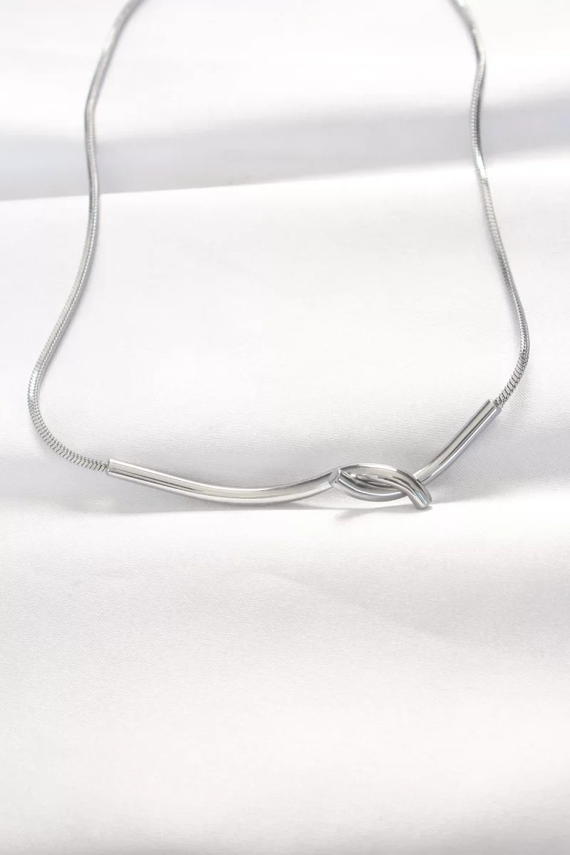 316L Çelik Silver Renk Kolye - Lisinya