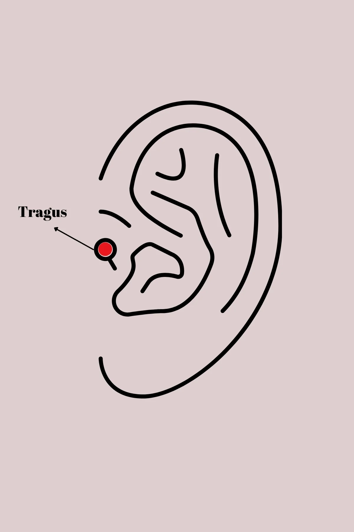 316L Çelik Tragus Piercing - Beyaz Çiçek Model Gümüş Renk Zirkon Taşlı 5886