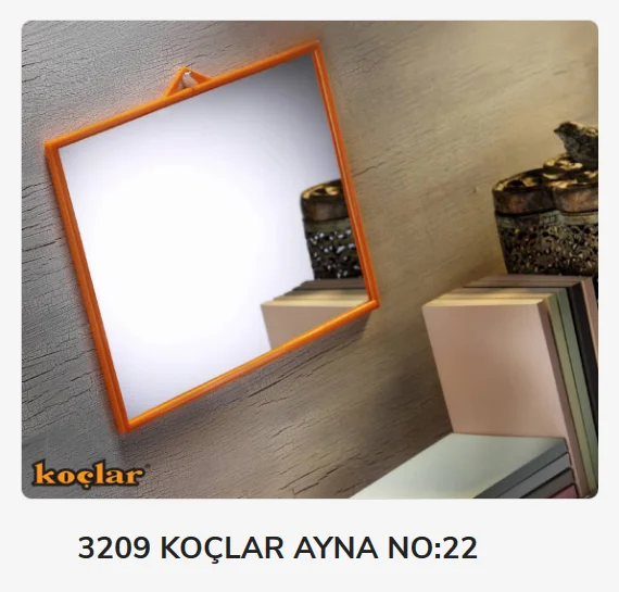 3209   Koçlar Ayna No:22