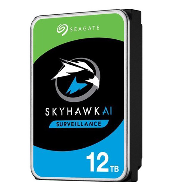 Seagate 3.5 12Tb Skyh Ai St12000ve001