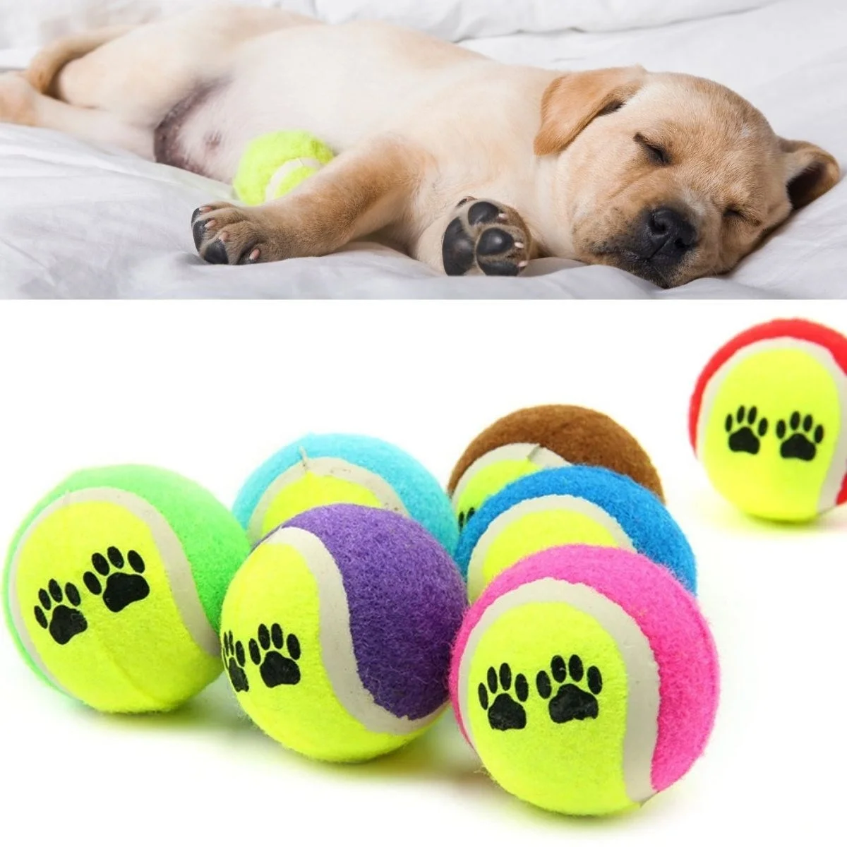 3&amp;apos;lü Renkli Desenli Tenis Topu Kedi Köpek Oyuncağı Bx40 Fiyatı, Yorumları ve Özellikleri