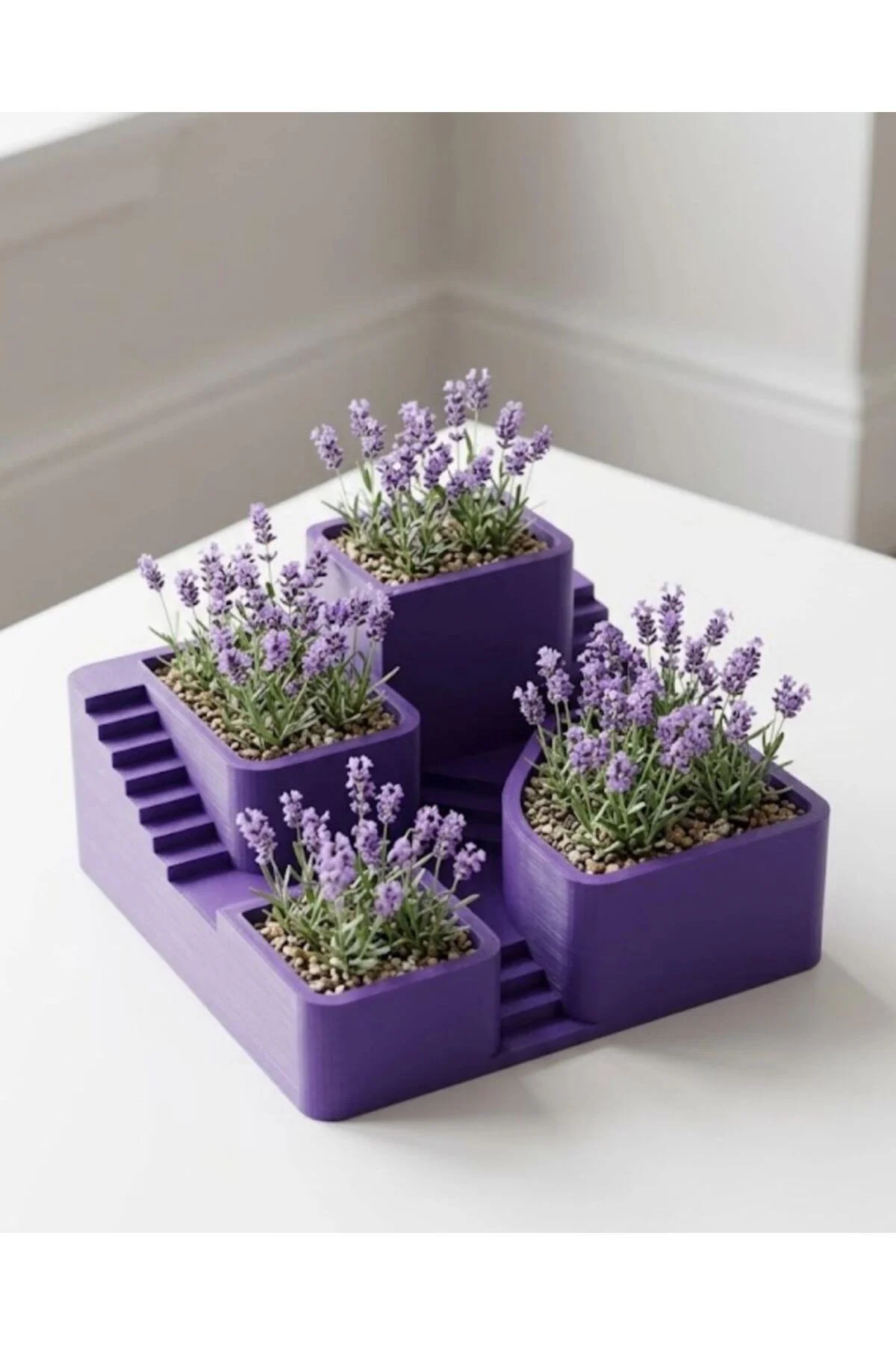 3d Kaktüs Saksısı Modern Çok Bölmeli Dekoratif Tasarım