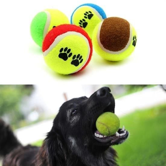 3lü Renkli Desenli Tenis Topu Kedi Köpek Oyuncağı 3lü Renkli Desenli Tenis Topu Kedi Köpek Oyuncağı