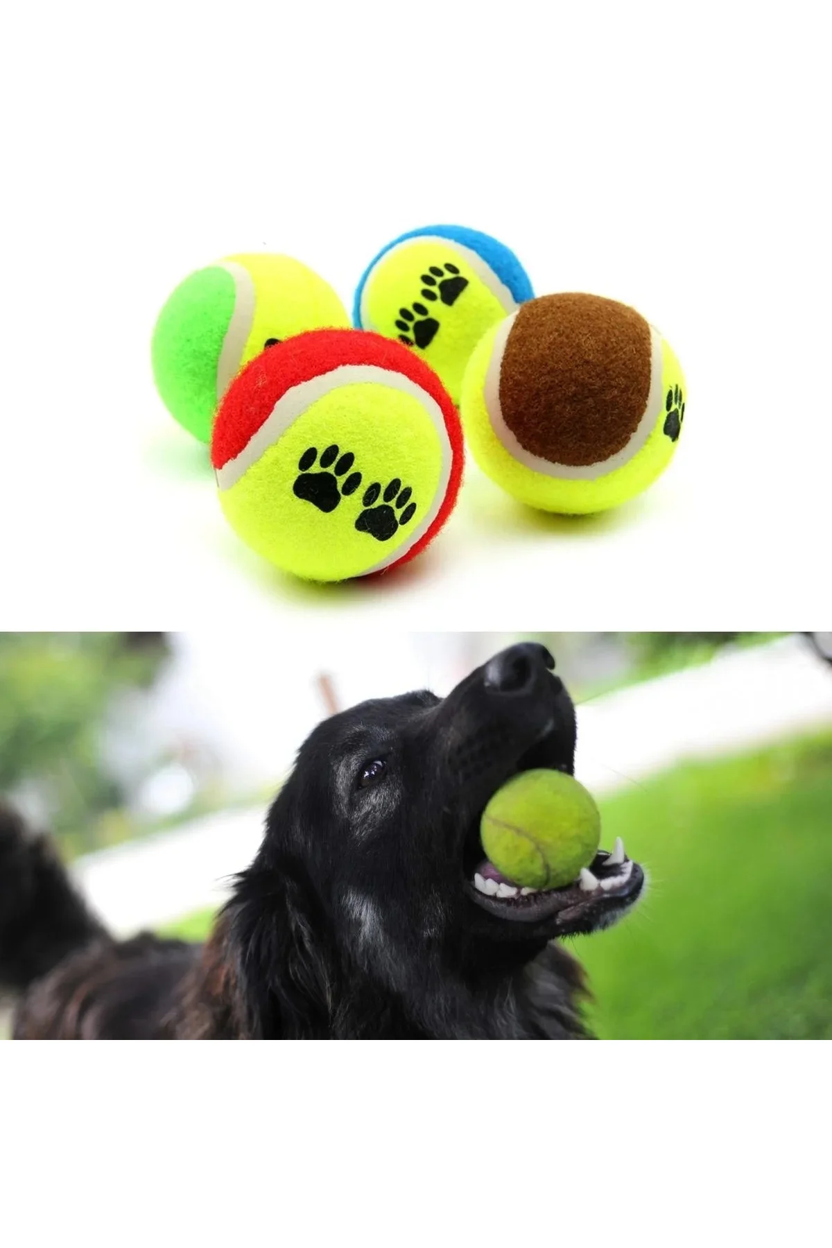 3'lü Renkli Desenli Tenis Topu Kedi Köpek Oyuncağı