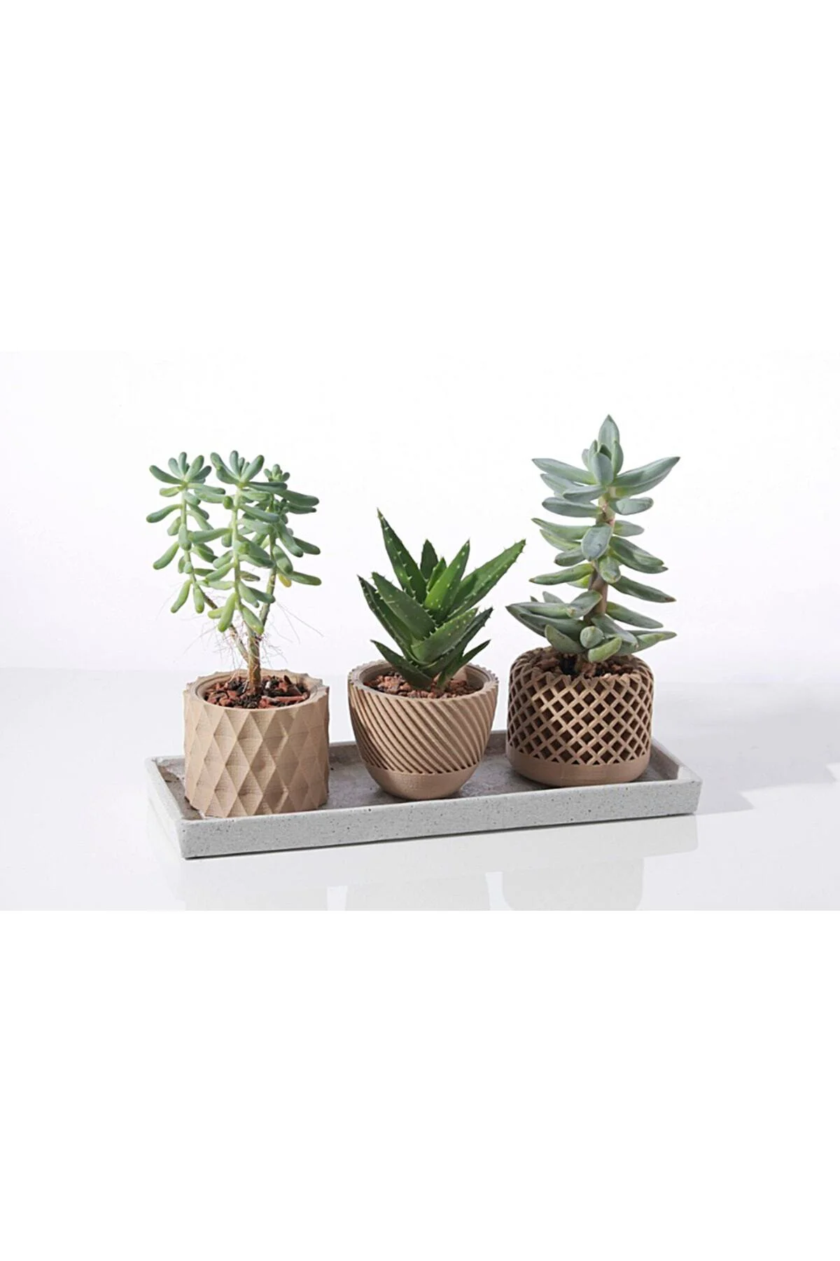 3'lü Sukulent Saksı (10 Cm Çap)