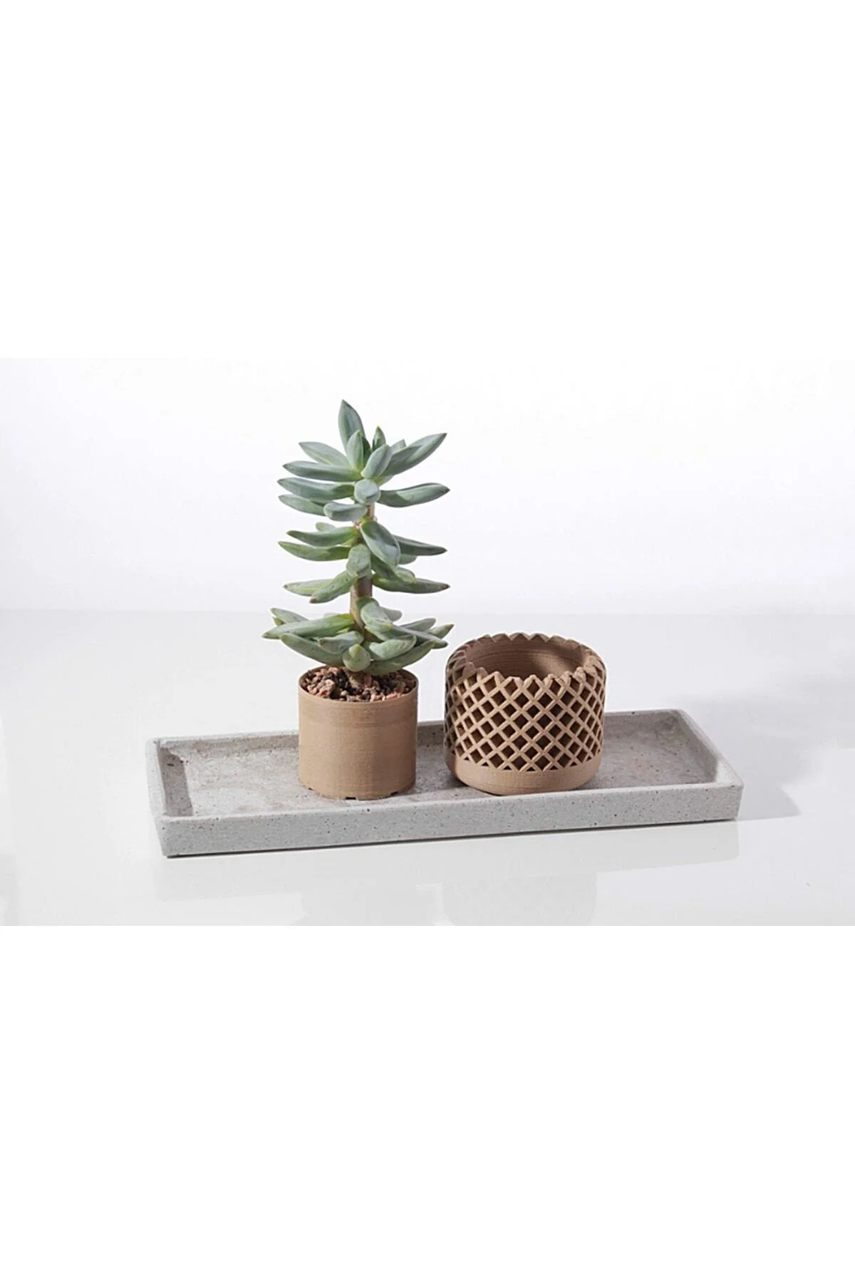 3'lü Sukulent Saksı (10 Cm Çap)