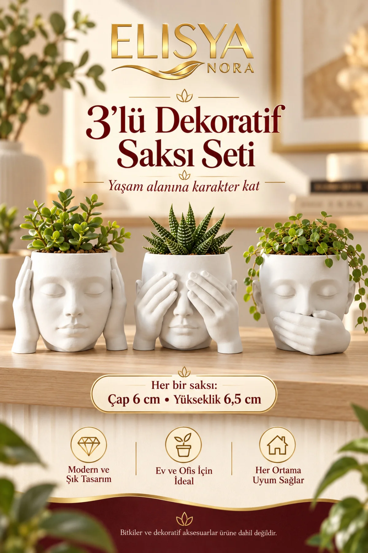 3'lü Yüz Figürlü Dekoratif Mini Saksı Seti Görmedim Duymadım Bilmiyorum 3'lü Yüz Figürlü Dekoratif Mini Saksı Seti Görmedim Duymadım Bilmiyorum - Görsel 2