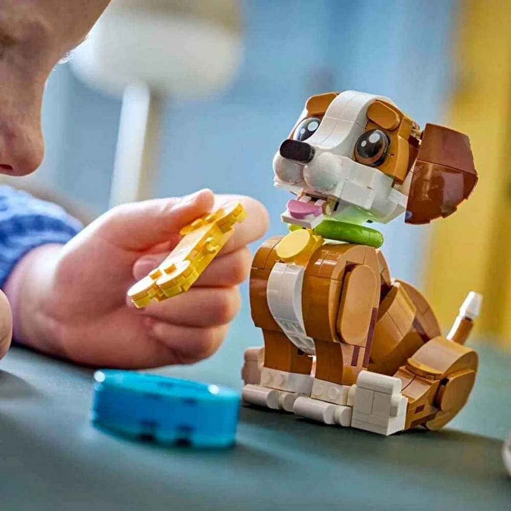 3’ü 1 Arada Sevimli Hayvanlar: Oyunbaz Yavru Köpek 31382