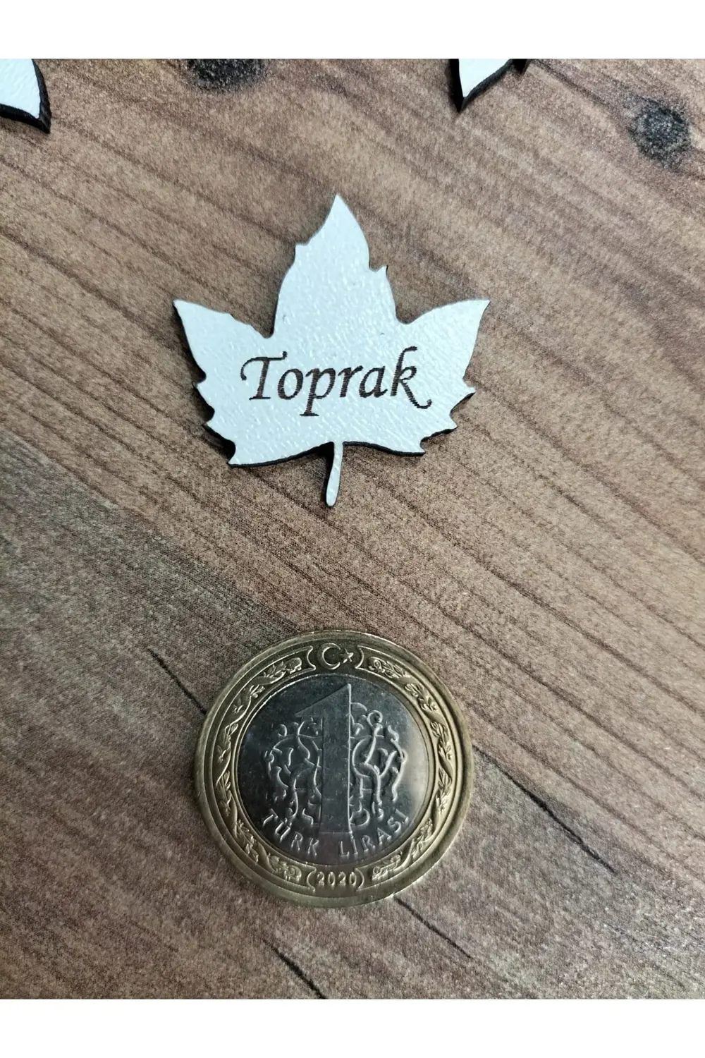 Leylaser 3X3 Cm Beyaz Ahşap Lazer Kesim Yaprak Figürlü Etiket İsimlik 50 A