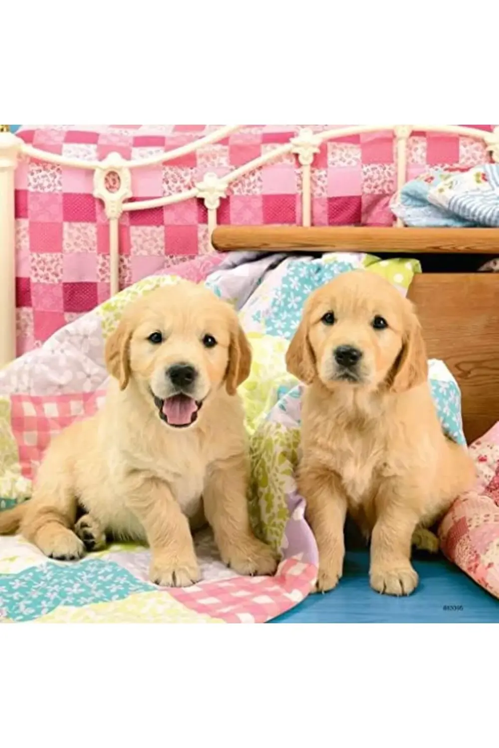 3x49 Parça Puzzle Puppies Renkli 3+ 1185222