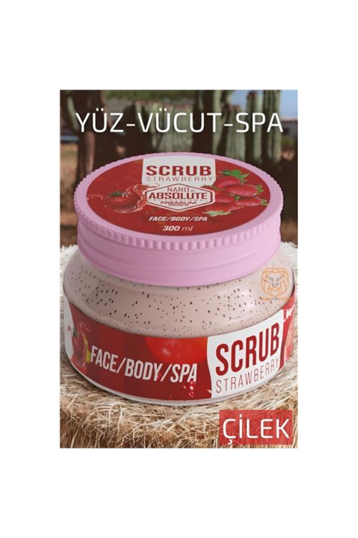 Modacar 4 Adet Çilek Scrub Peeling Nano Absolute Professional 719464 Toptan Paket