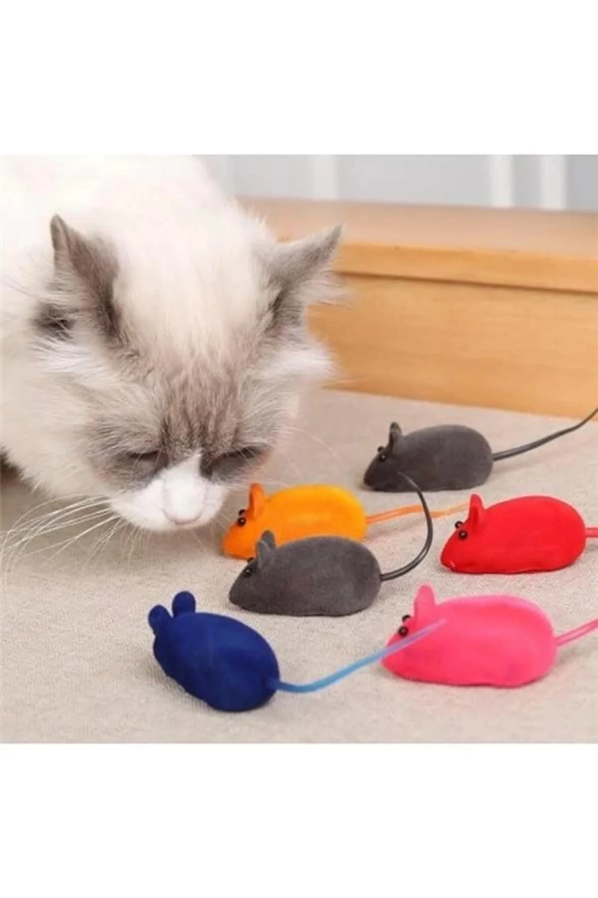 4 Adet Kedi Eğitim Oyun Faresi Sesli