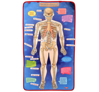 4 Set 127 Parça İskelet , İç Organlar Sistemi , Takvim ve Duygu 4 Set 127 Parça İskelet , İç Organlar Sistemi , Takvim ve Duygu