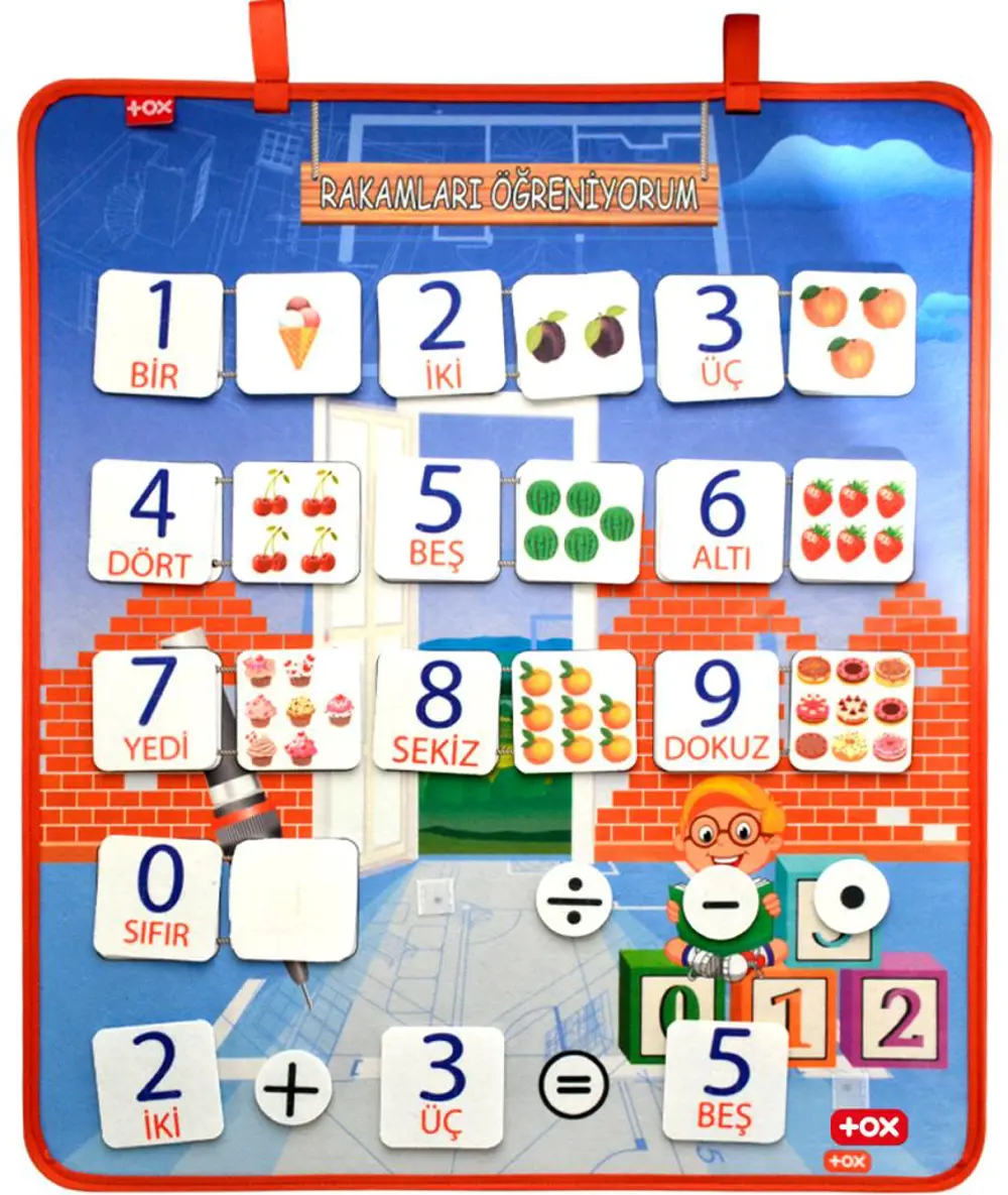 4 Set - 151 Parça  İskelet , İç Organlar Sistemi , Takvim ve Raka
