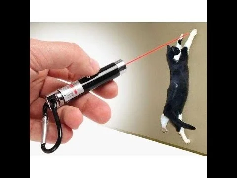 4 Yedek Başlıklı Pilli Kedi Oyuncağı Lazer Anahtarlık 4 Yedek Başlıklı Pilli Kedi Oyuncağı Lazer Anahtarlık