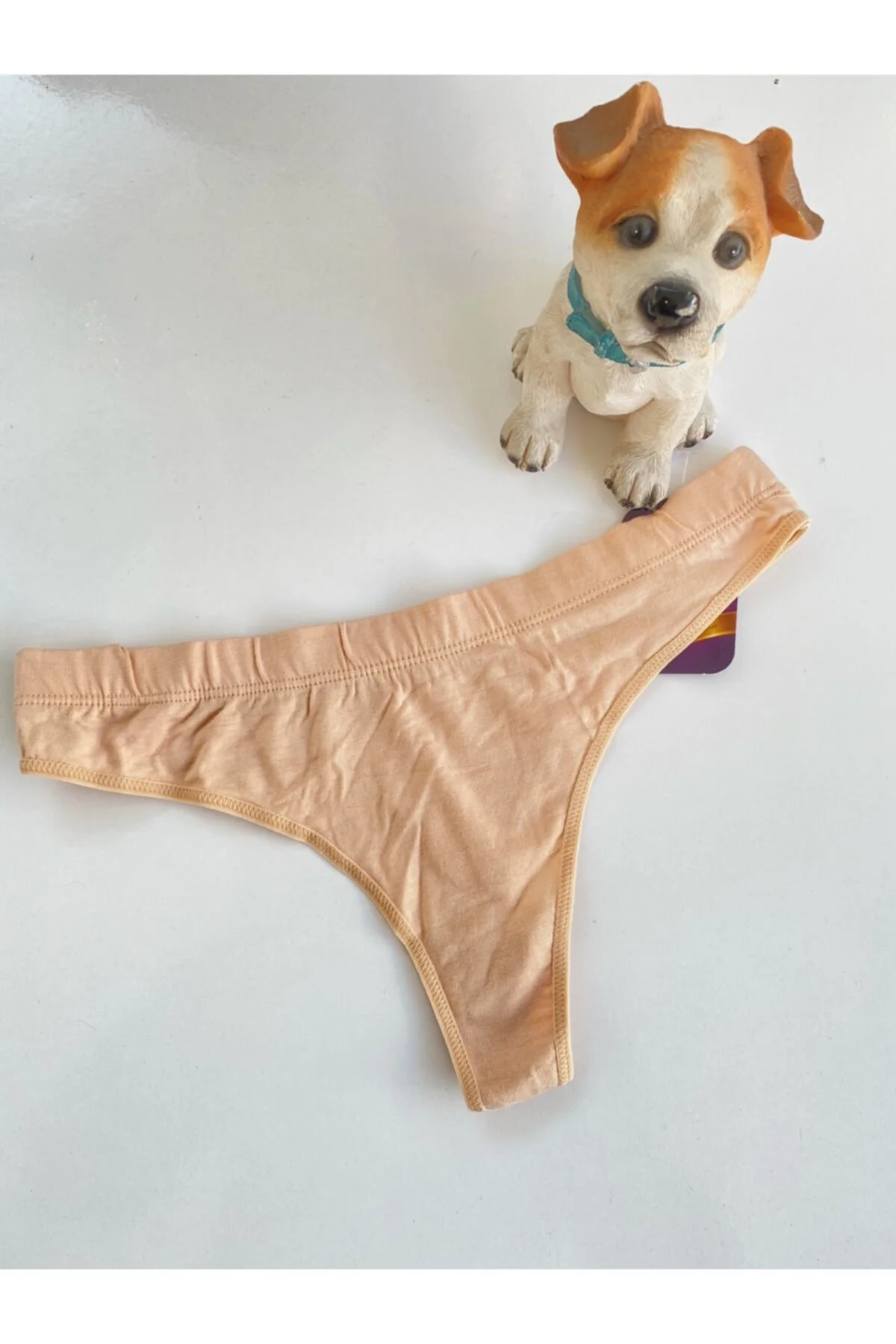 4158 Tanga