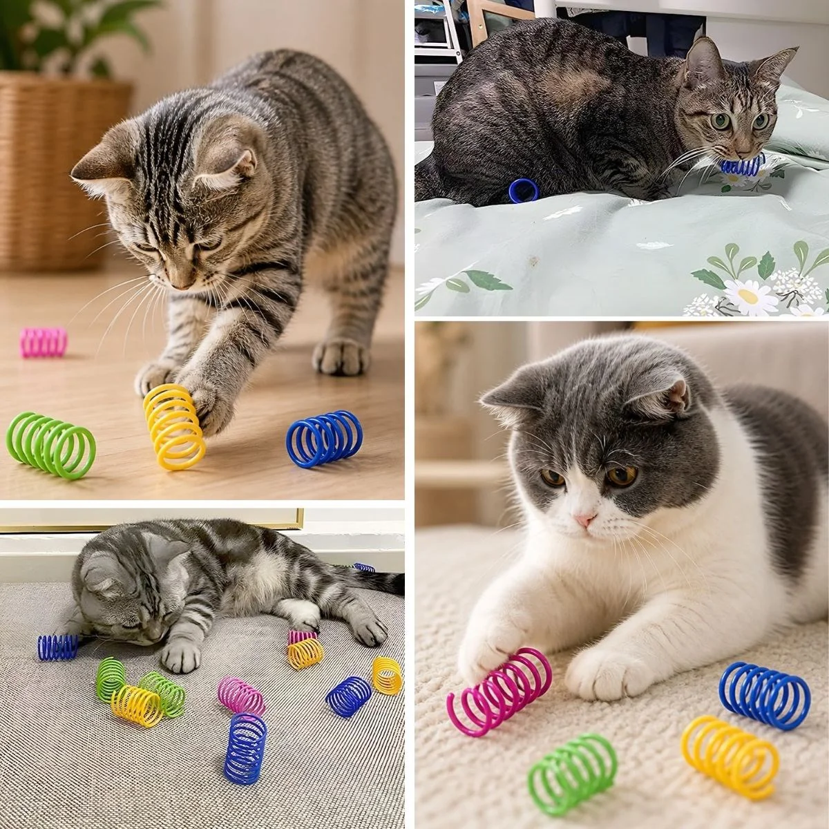 4'lü Renkli Spiral Yay Kedi Oyuncağı, Esnek ve Hareketli Eğlenceli Kedi Oyun Seti 4'lü Renkli Spiral Yay Kedi Oyuncağı, Esnek ve Hareketli Eğlenceli Kedi Oyun Seti