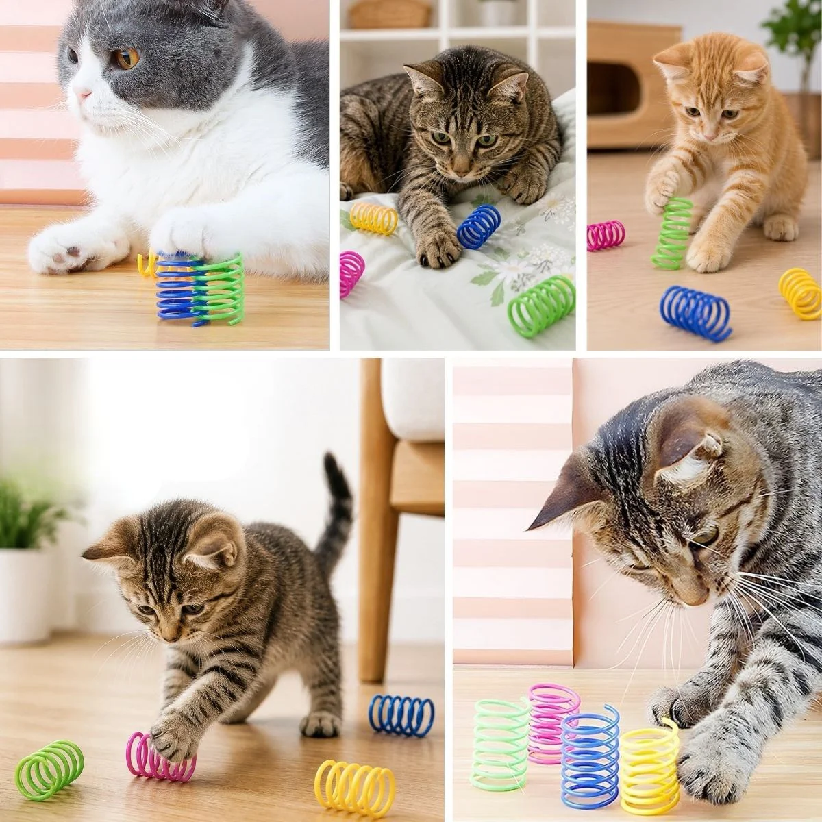 4'lü Renkli Spiral Yay Kedi Oyuncağı, Esnek ve Hareketli Eğlenceli Kedi Oyun Seti 4'lü Renkli Spiral Yay Kedi Oyuncağı, Esnek ve Hareketli Eğlenceli Kedi Oyun Seti