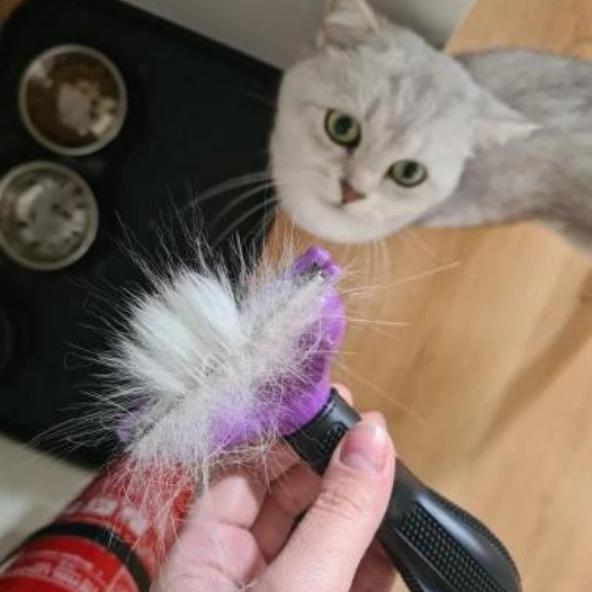 4.5 Kilo Üzeri Kısa Tüylü Kediler için Tüy Toplama Tarağı (4741)
