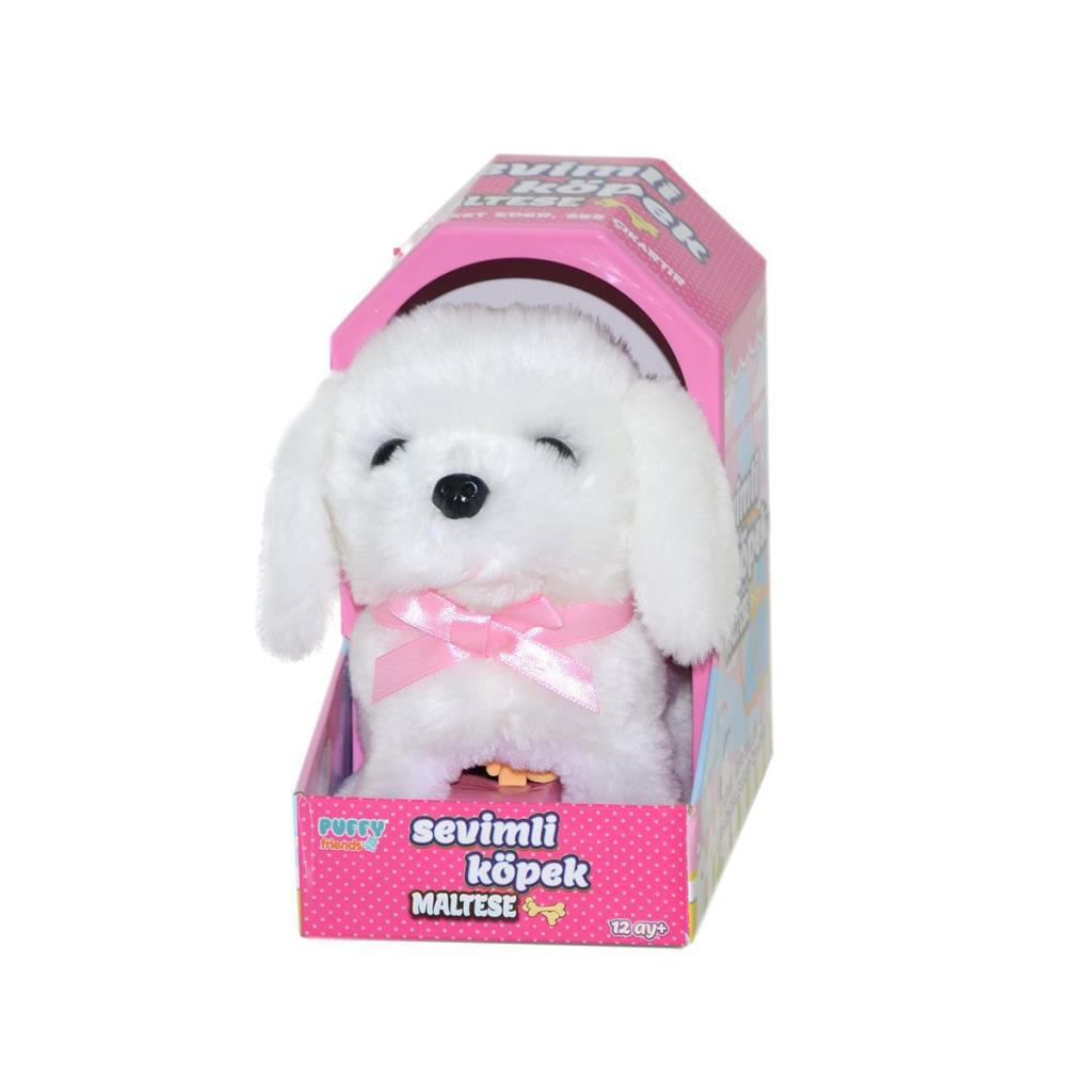 47100 Sevimli Köpek Maltese - Fiyatı, Yorumları ve Özellikleri
