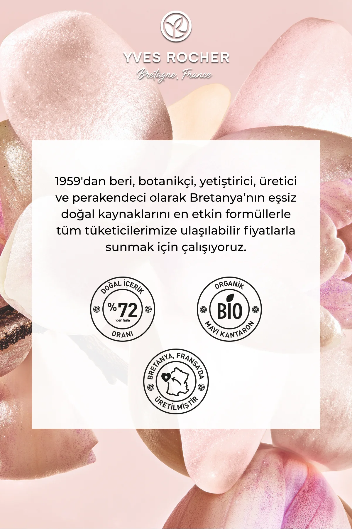 4’lü Far Paleti – Manolya Pudra-34265