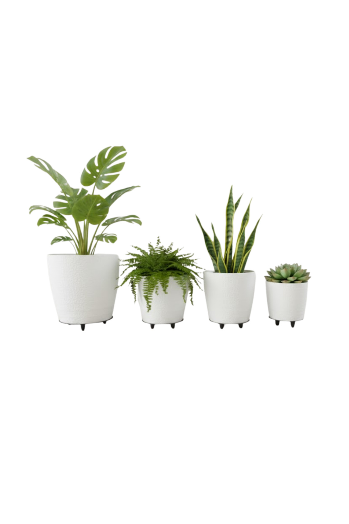 4LÜ VAZO BEYAZ - Lisinya