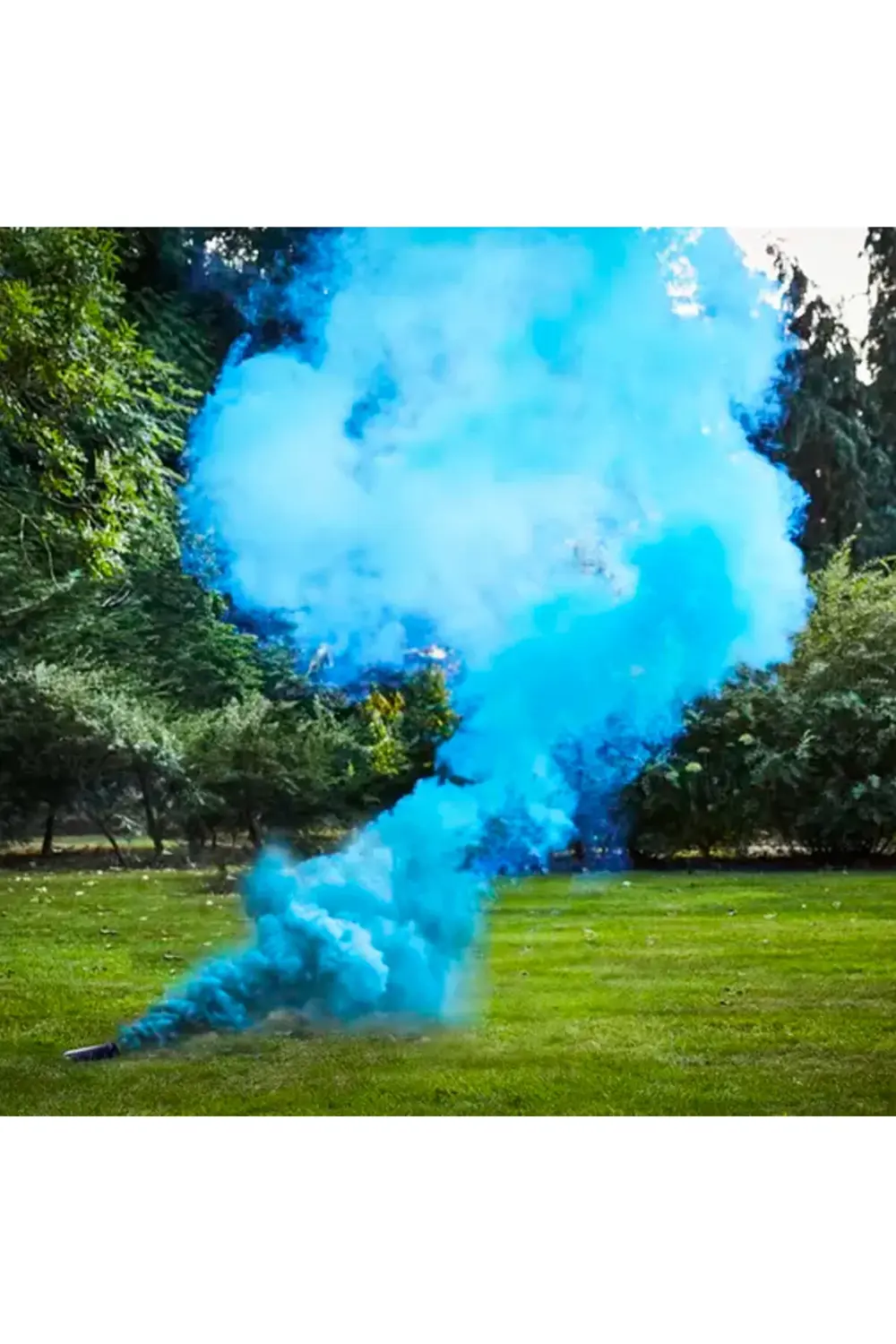 5 Adet Bebek Cinsiyet Belirleme Partisi Bambu Parti Sis Duman Bom