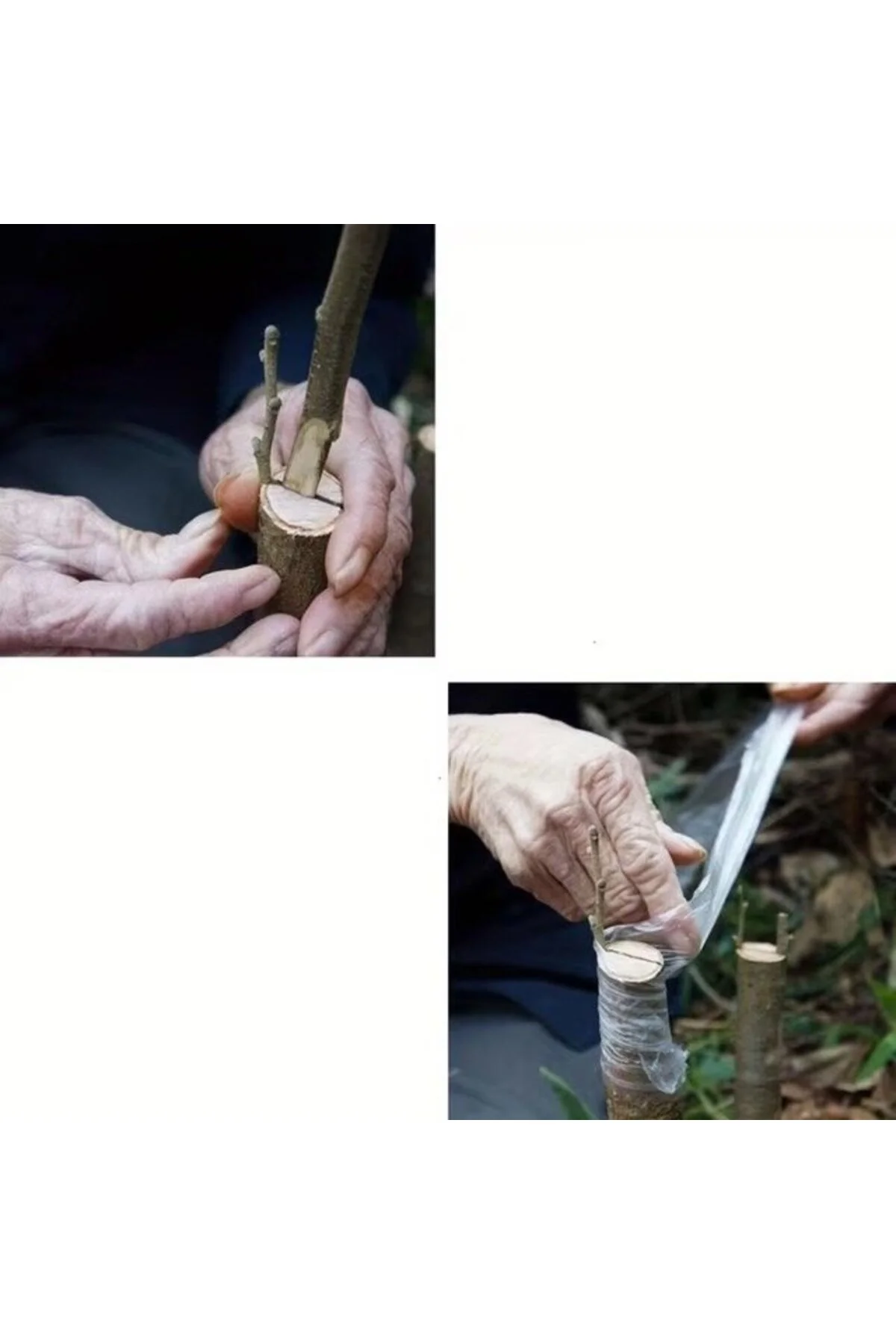 5 Cm Aşı Streçi 200 Metre - Profesyonel Fidan Ve Ağaç Aşı Bandı (yüksek Esnek) 5 Cm Aşı Streçi 200 Metre - Profesyonel Fidan Ve Ağaç Aşı Bandı (yüksek Esnek)