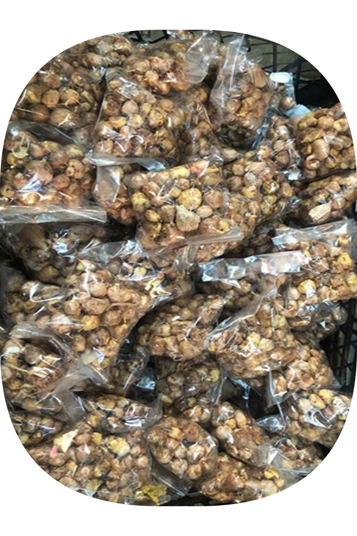 Net Tarim 50 Adet Kırmızı Frezya ( Freesia Bulbs ) Çiçeği Soğanı Katmerli M