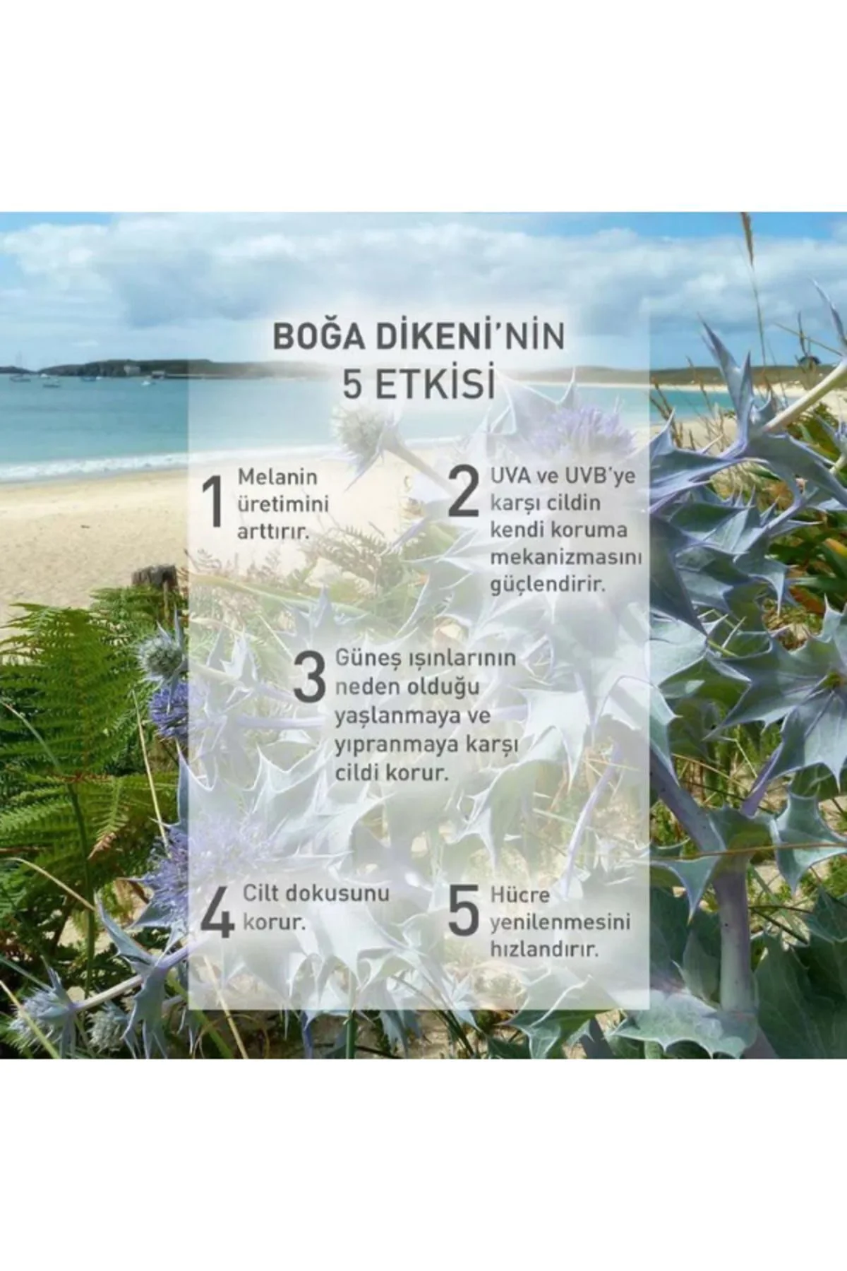 50+ Koruma Faktörlü Güneşe Karşı Koruyucu Vegan Süt 150ml ( Yüz&V