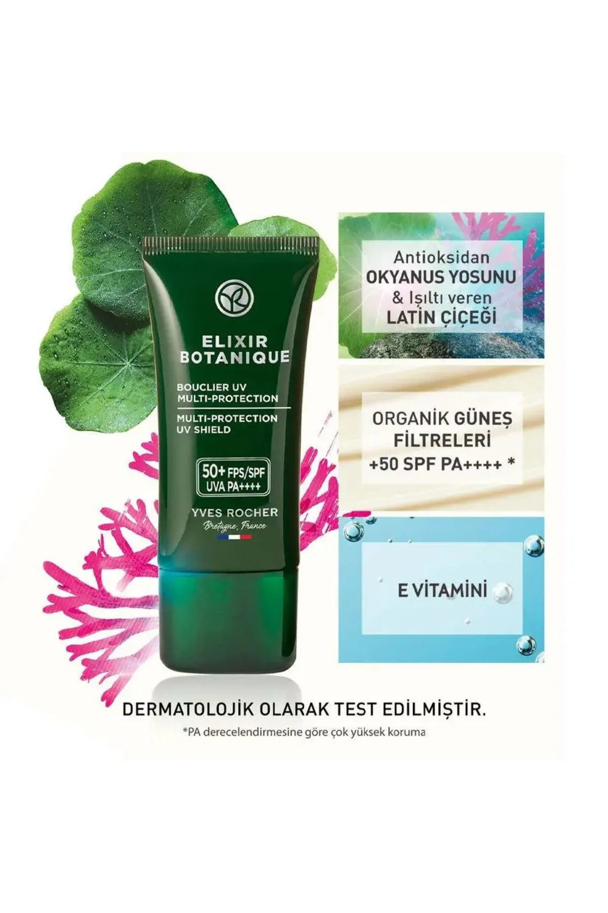 50+ SPF Yüz Kremi - Yaşlanma Karşıtı Bitkisel Antioksidan Bakım/E