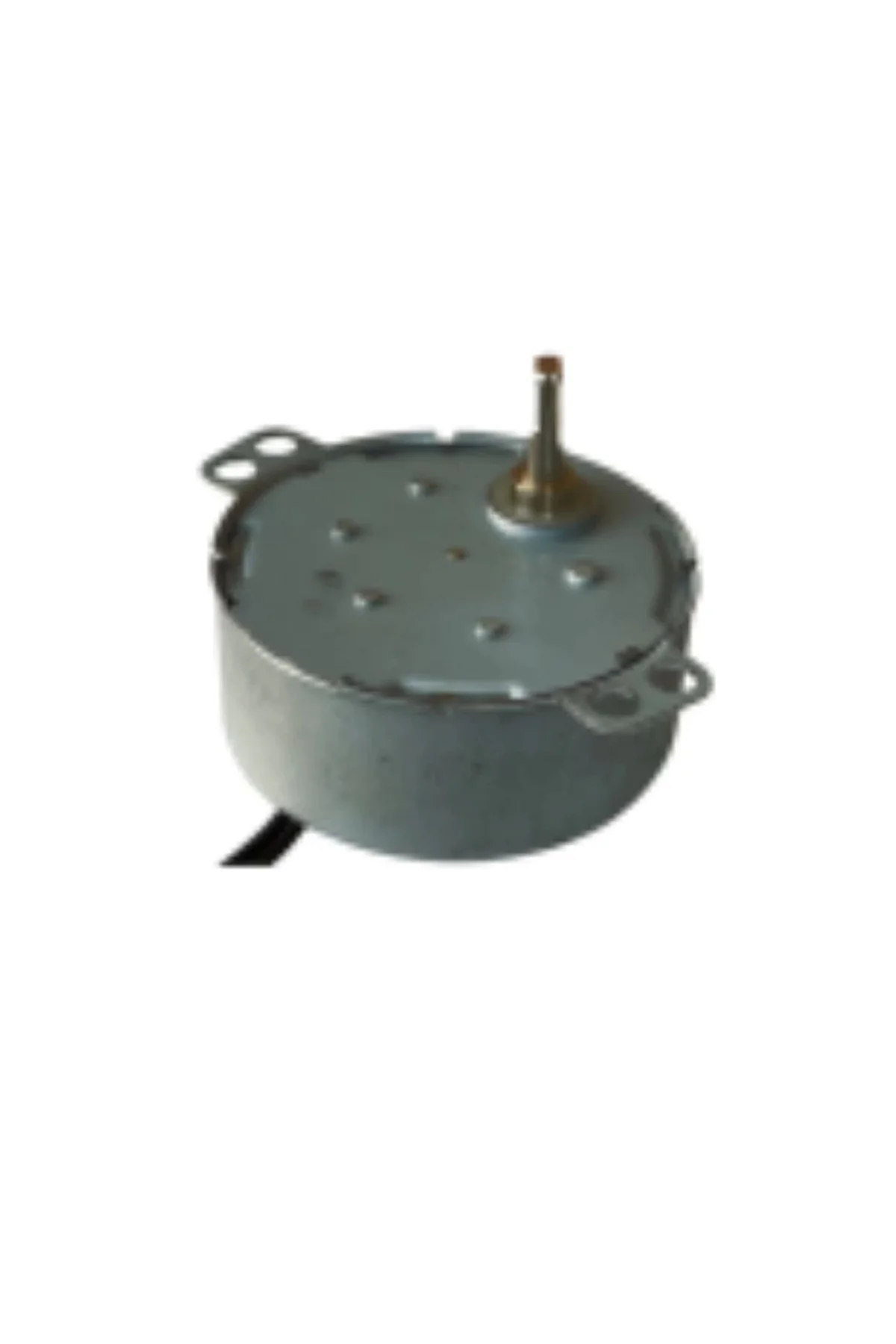 50 TYZ 10/12 RPM Kuluçka Motoru Viyol Çevirme ( Lisinya )