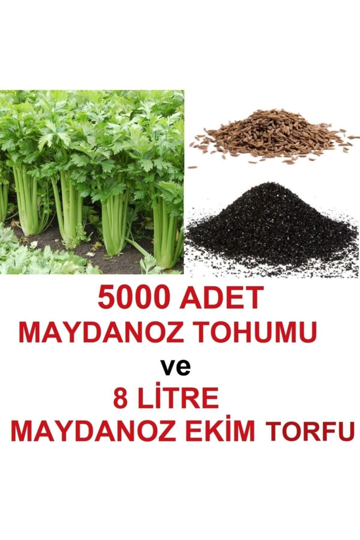 5000 Adet Geniş Yapraklı Köylü Maydanoz Tohumu Ve 8 Litre Maydano