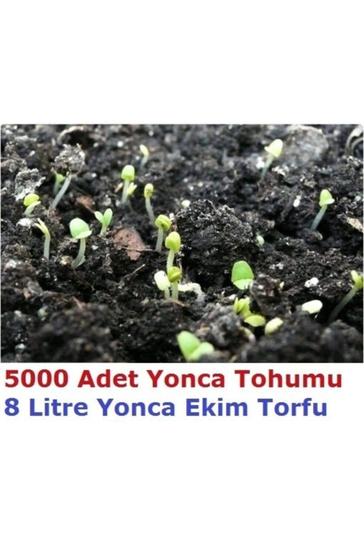 Tohumgübre 5000 Adet Yonca Tohumu Ve 8 Litre Ekim Torfu