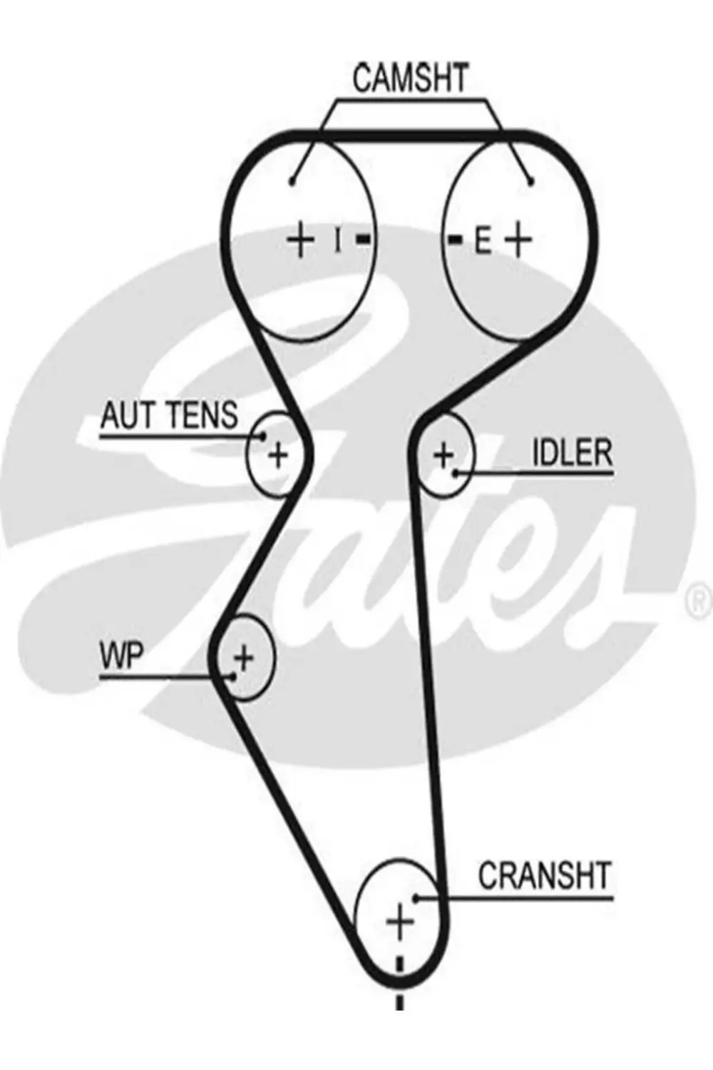 5419xs Kayis Triger-127-250-(CHEVROLET: KALOS 02-10 1.4 16V/LACET