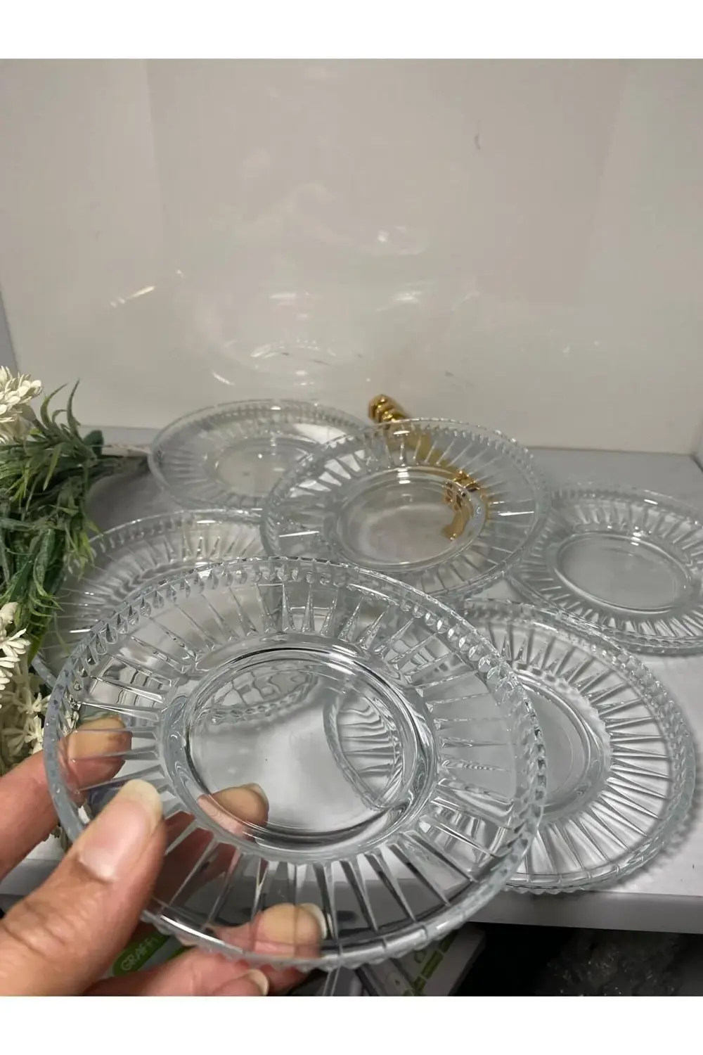 54771 Elysıa Çay Tabagı 6lı