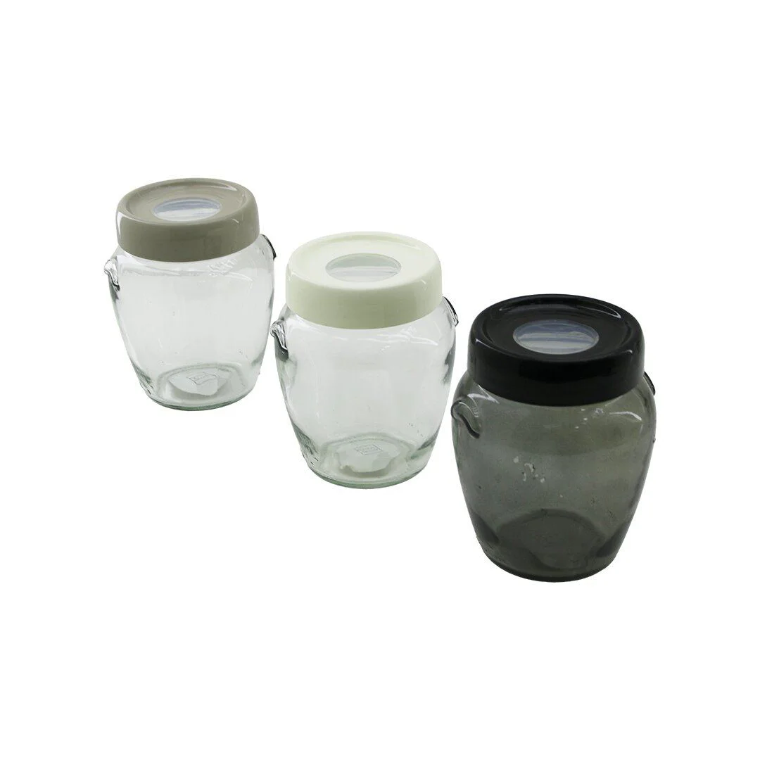580 ml Şeffaf Cam Saklama Kavanozu Renkli Kapaklı 580 ml Şeffaf Cam Saklama Kavanozu Renkli Kapaklı