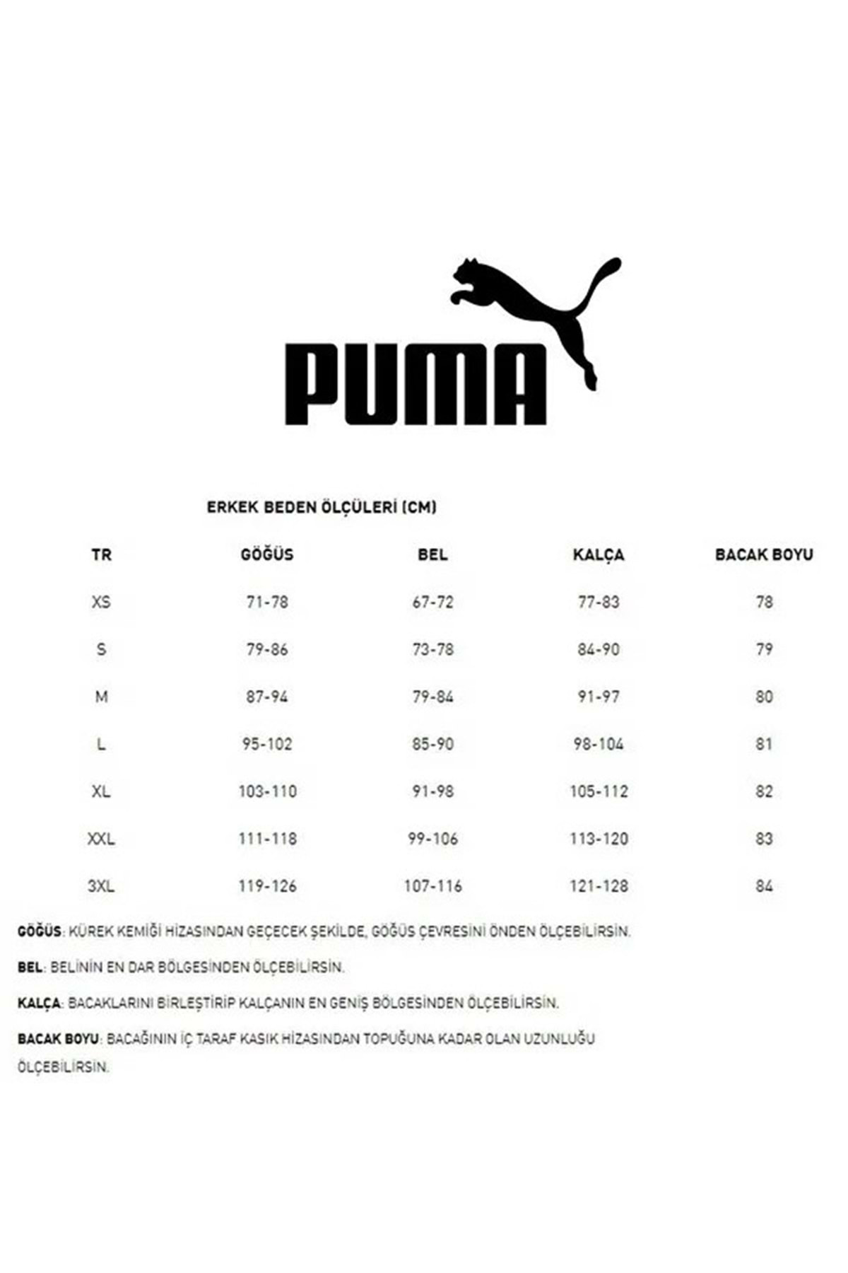 Puma 586688 Ess Big Logo Hoodie Erkek Kapüşonlu Sweatshirt Gri