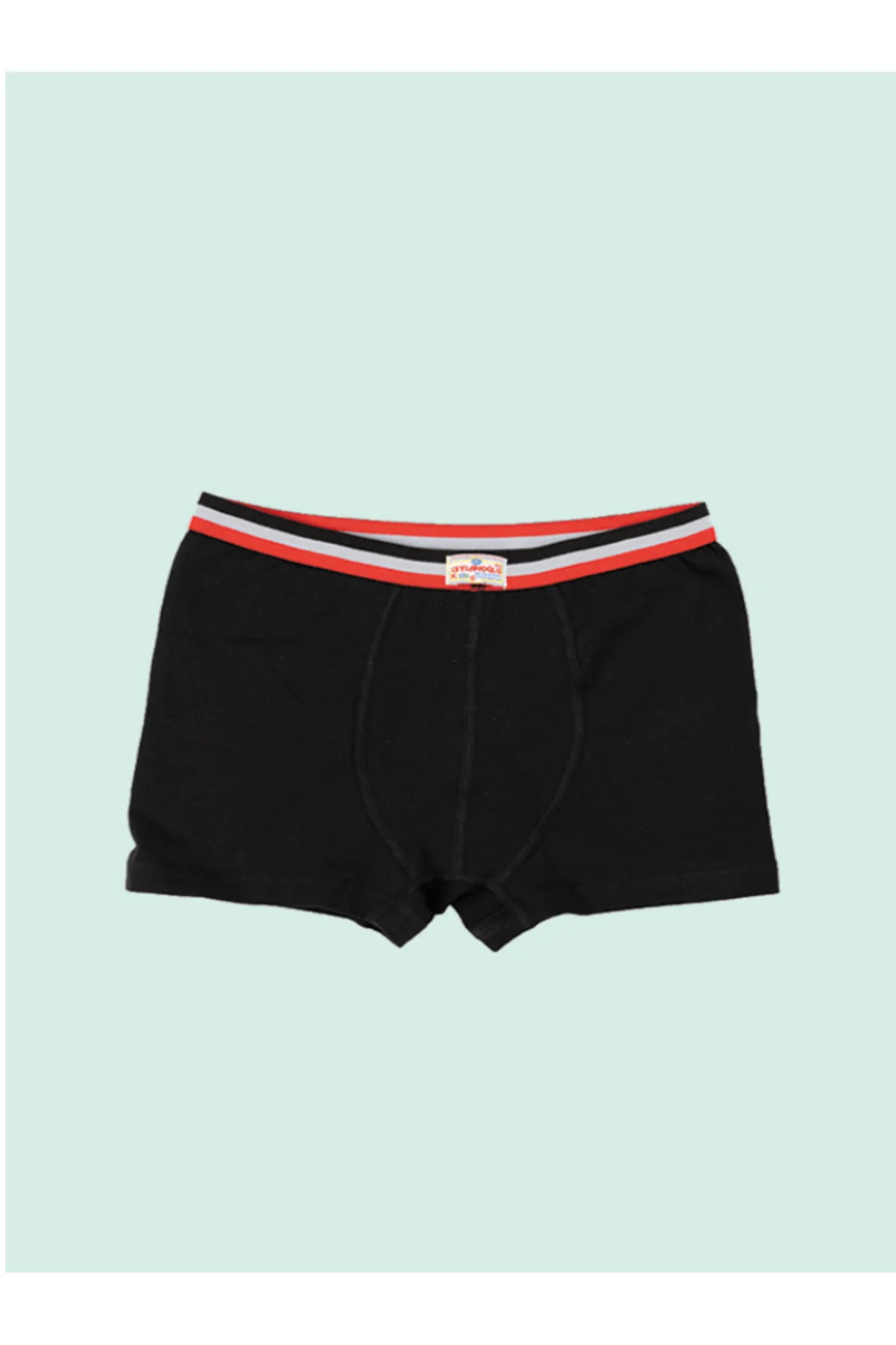 5'Lİ EKO PAKET ÇOCUK LİKRA BOXER 0343
