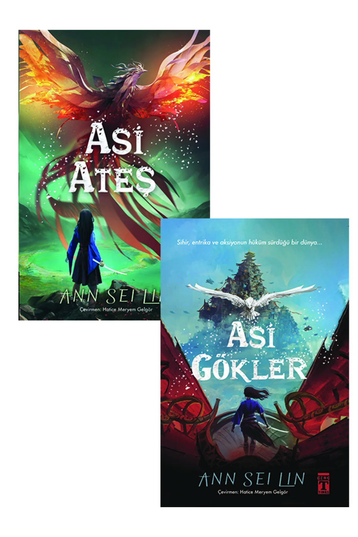 6. 7. 8. Sınıf Okuma Seti 2 Kitap Asi Gökler - Asi Ateş 6. 7. 8. Sınıf Okuma Seti 2 Kitap Asi Gökler - Asi Ateş