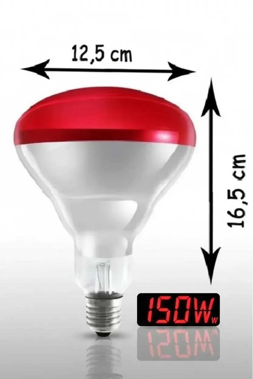 (6 Adet) 150W Kızılötesi Isıtıcılı Hayvan Isıtma ve Kuluçka Lambası (Kırmızı Işık) E27 (Kalın Duy) Fiyatı, Yorumları ve Özellikleri