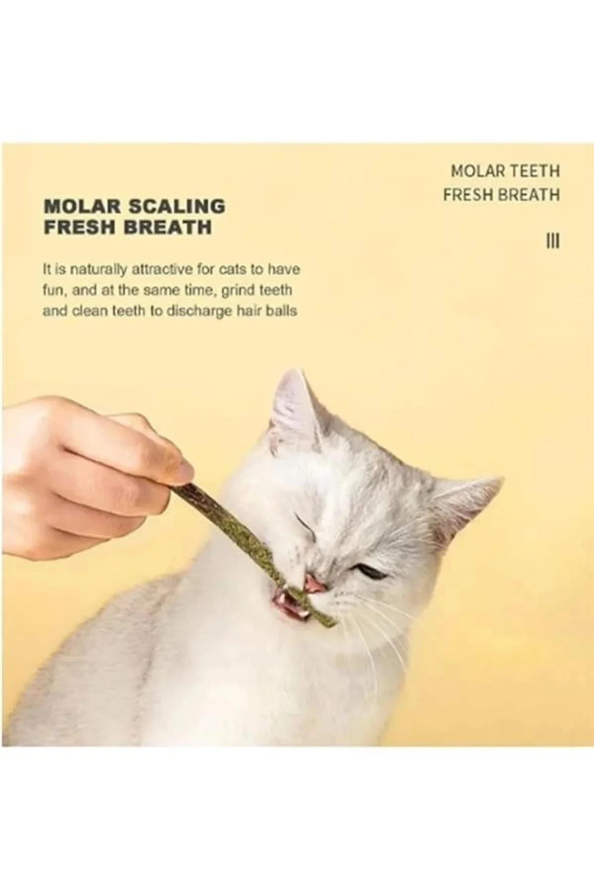6 Adet Doğal Meyve Aromalı Matatabi Çubuğu Catnip Stick Kedi Catnip Dalı Cat Mint Stick