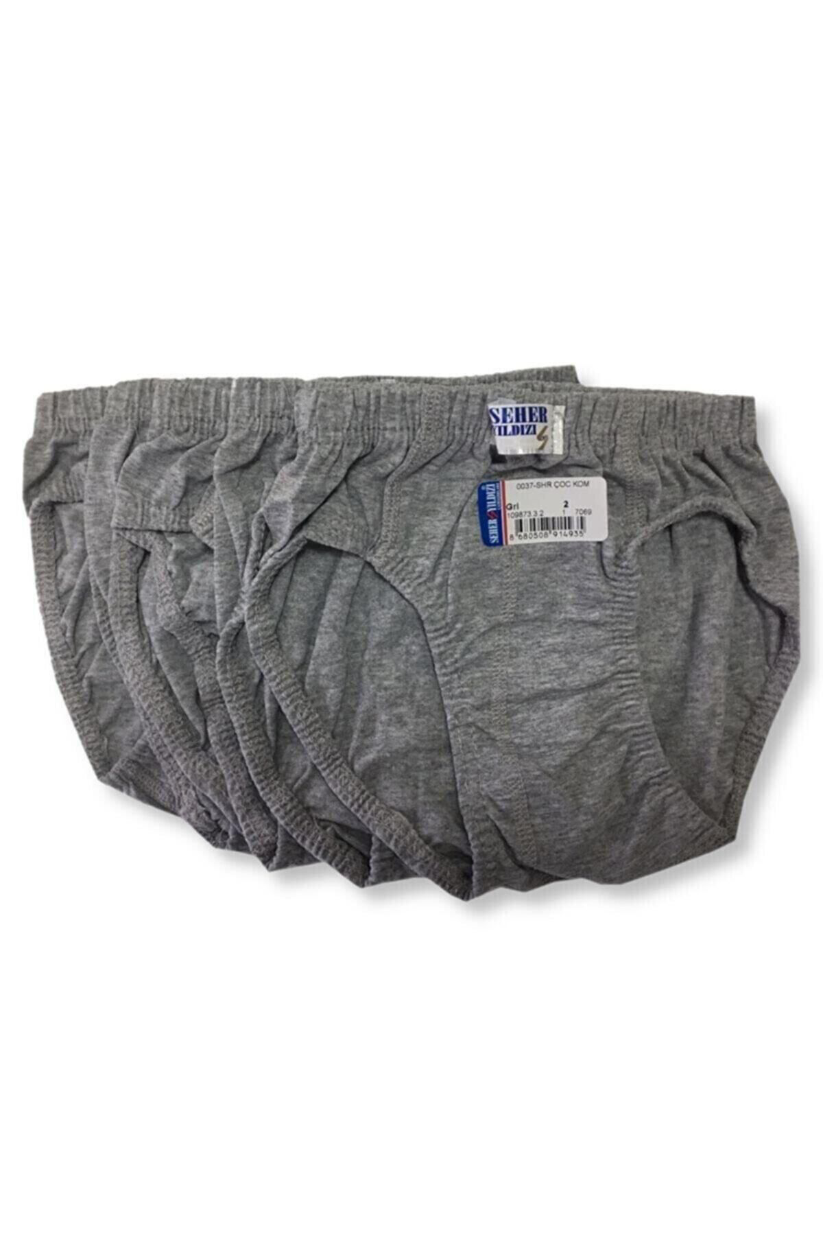 6 Adet Gri Renk Çocuk Slip Külot