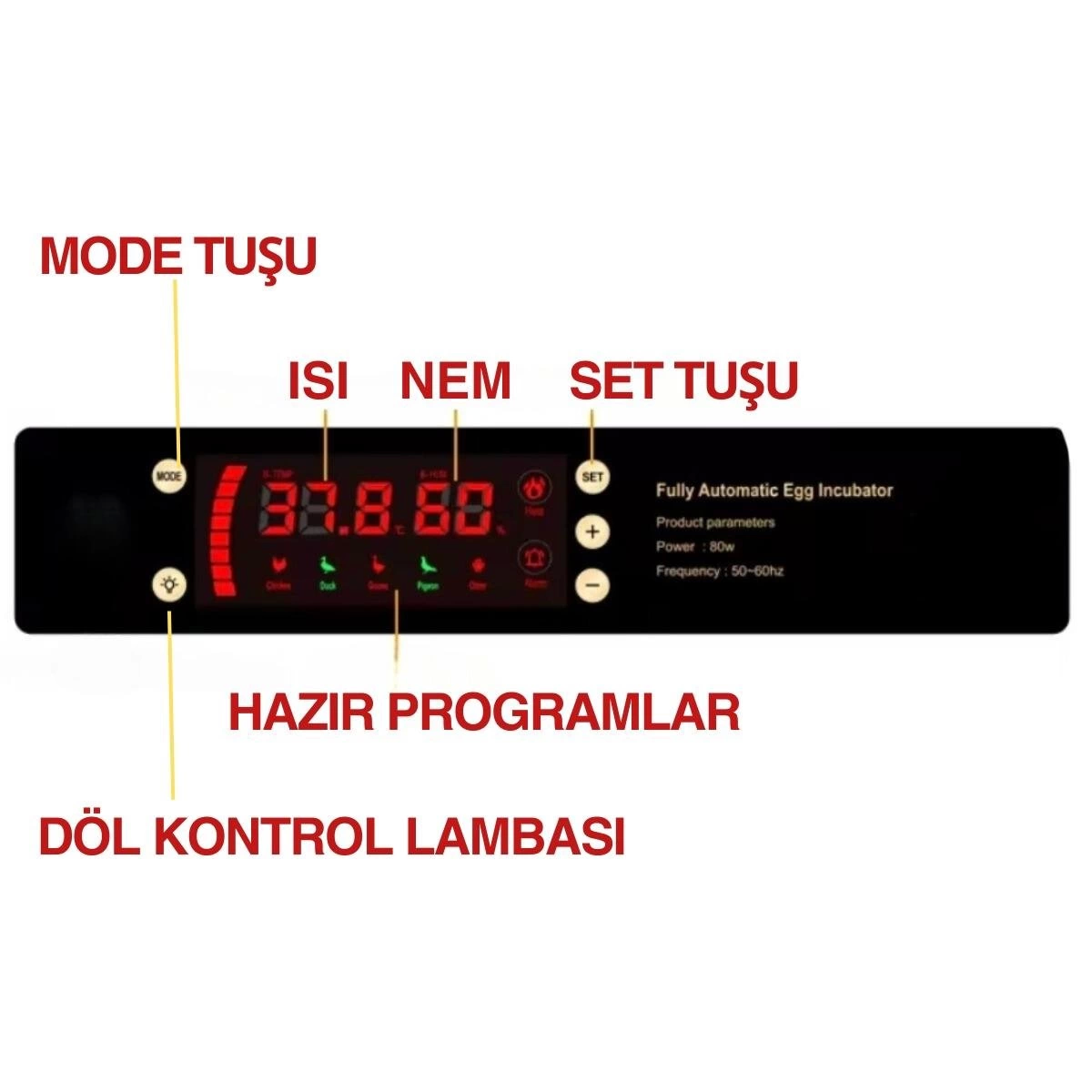 60 Yumurta Kapasiteli Tam Otomatik Kuluçka Makinesi - Civciv, Kaz 60 Yumurta Kapasiteli Tam Otomatik Kuluçka Makinesi - Civciv, Kaz