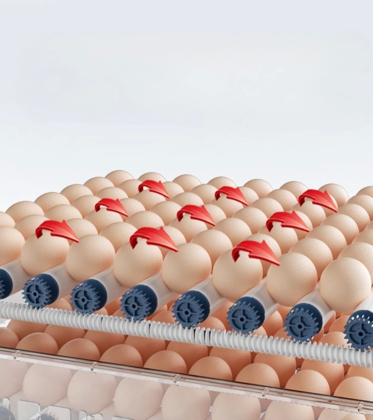 60 Yumurta Kapasiteli Tam Otomatik Kuluçka Makinesi - Civciv, Kaz 60 Yumurta Kapasiteli Tam Otomatik Kuluçka Makinesi - Civciv, Kaz