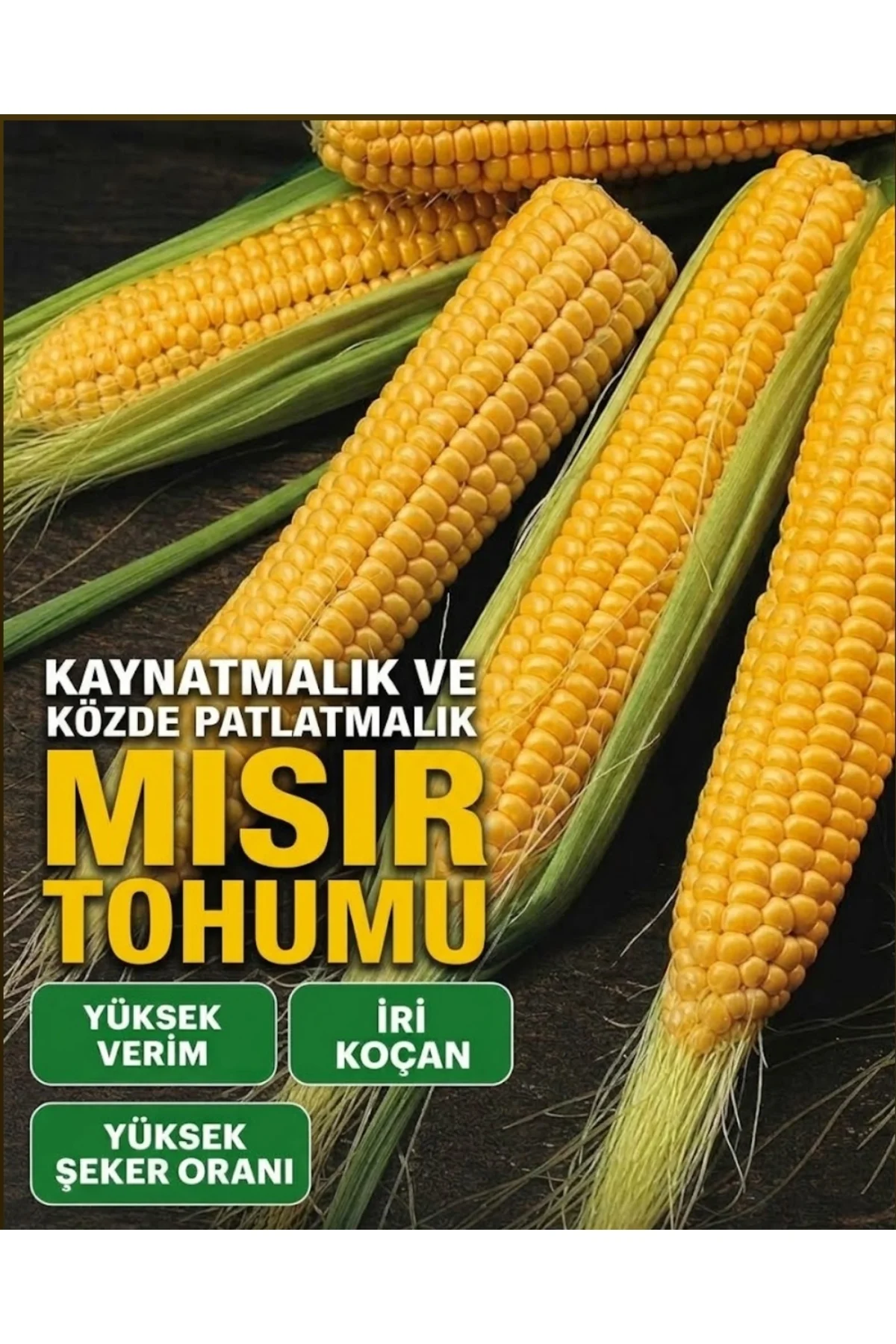 600 Adet Kaynatmalık ve Közde Patlatmalık Mısır Tohumu 600 Adet Kaynatmalık ve Közde Patlatmalık Mısır Tohumu