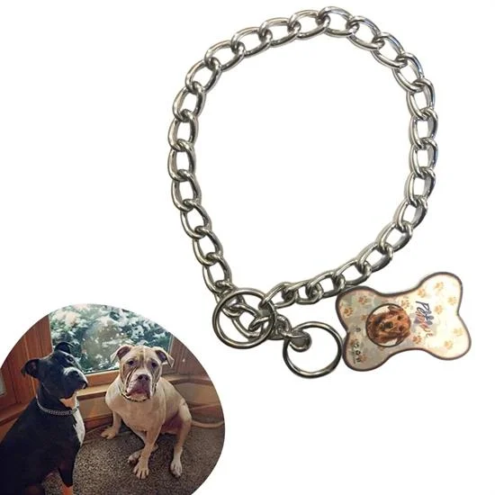 65 Cm Uzunlukta Zincir Model Köpek İçin Boyun Tasması Bx40 Fiyatı, Yorumları ve Özellikleri