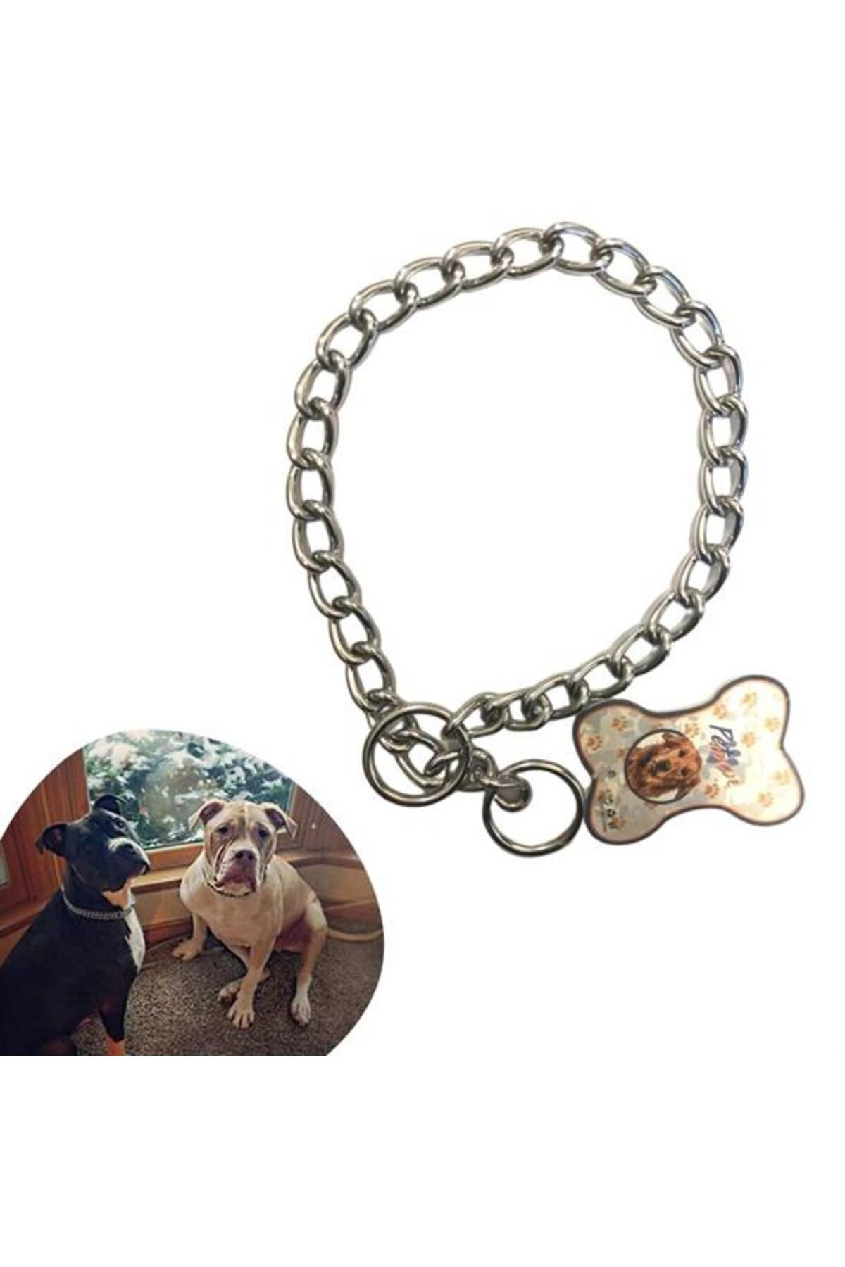 Ok Aksesuar 65 Cm Uzunlukta Zincir Model Köpek İçin Boyun Tasmasi Go506090369